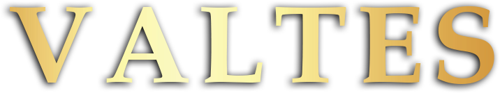 Логотип VALTES